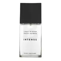 Issey Miyake Issey Miyake Eau D'Issey Pour Homme Intense eau de toilette for men 125 ml