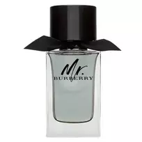Burberry  Mr. Eau de Toilette for men, 100 ml