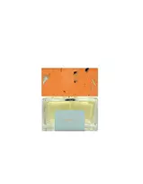 Pictor Parfum Airbrush, Eau de Parfum, Unisex, 100 ml