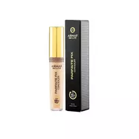 Armaf Perfect Fix Concealer 5.8 G 01 Fair