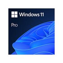 Windows 11 Pro 64Bit DSP 1pk Dutch DVD