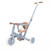 Little Dutch 4 in 1 triratis su rankena,mėlyna