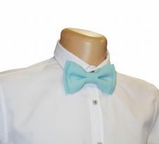 Turkio peteliškė „Turquoise Breeze“