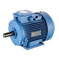 Elektros variklis AIR100S4 3,0 kW 1500 aps B3