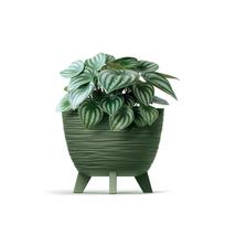 Vazonas su kojelėmis 9,5 l D290xH240 mm žemės žalia FURU Prosperplast