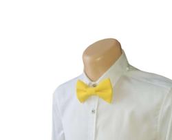 Geltona peteliškė „Classic Yellow“