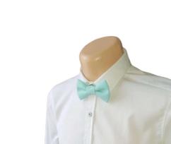 Turkio spalvos peteliškė „Turquoise Breeze“