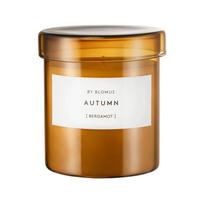 Aromatinė žvakė iš sojų vaško degimo laikas 45 h Valoa Autumn – Blomus