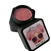 Shine Gel 2 - gelis nagų priauginimui