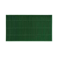 HEPA filtras F-011GR, žalias, 27x16x2 cm