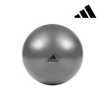 Adidas Apsaugota nuo sprogimo gimnastikos kamuolys 65cm 3 spalvų Gym ball 65cm gray