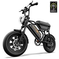 URLIFE T16 Daugiafunkcinis Elektrinis Dviratis 48V13Ah Baterija 500W Variklis 25KM/H Maksimalus Greitis 16 Colių Stori Padangos 65KM Nuotolis E-Dviratis