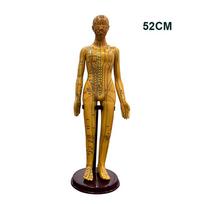 52CM Akupunktūros modelis