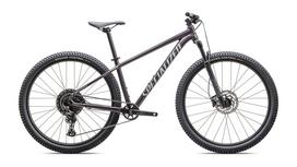 Rockhopper Comp Satin Nebula Metallic / Dolomite Metallic.
