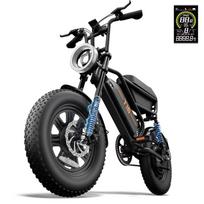 URLIFE T16 Daugiafunkcinis Elektrinis Dviratis 48V13Ah Baterija 500W Variklis 25KM/H Maksimalus Greitis 16 Colių Stori Padangos 65KM Nuotolis Miesto E-Dviratis juoda