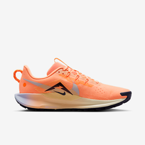 Nike Pegasus Trail 5 - Dydis 42.5 (DV3864-800 Laisvalaikio batai)