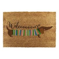 Iš kokoso pluošto grindų kilimėlis 40x60 cm Welcome Sausage Dog – Artsy Doormats