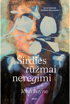 Širdies tūžmai neregimi - John Boyne