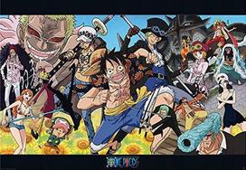 One Piece plakatas Dressrosa (91.5x61 cm)