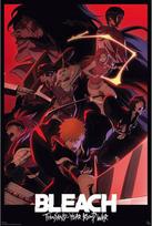 Plakatas "bleach Tybw" Maxi 91.5x61 cm - Gb Eye