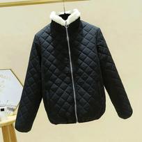 Women's Fall and Winter Solid Color Light Jacket Students Stand-up Collar Cotton Jacket 3XL juoda