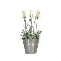 Dirbtinė gėlė SODE, levandų spalvos vazone, aukštis 25 cm, balta