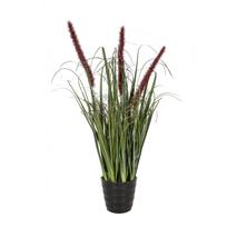 Dirbtinė gėlė SODE, žolė vazone, aukštis 55 cm, ruda