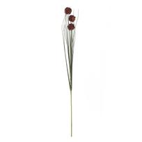Dirbtinė gėlė SODE, žolė, aukštis 89 cm, ruda