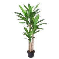 Dirbtinė eglutė DRACAENA H125cm, juodas vazonas