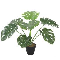 Dirbtinis augalas MONSTERA H60cm, juodas vazonas