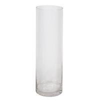 Vaza IN HOME D18xH60cm, skaidrus stiklas