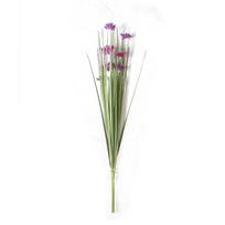 Ramunėlių žolė SODE, A70cm, rožinė/violetinė