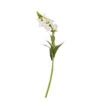 Dirbtinė gėlė SODE, A49 cm, balta
