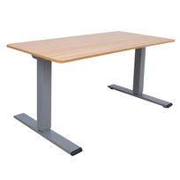 ERGO OPTIMAL stalas su 2 varikliais, 160x80 cm, hikoris