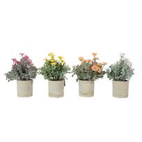 Dirbtinis vazoninis augalas GREENLAND, gerbera, mišinys