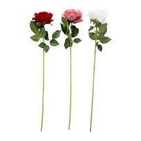 Dirbtinė gėlė FLOWERLY H76cm, rožių spalvos, mišrus raštas