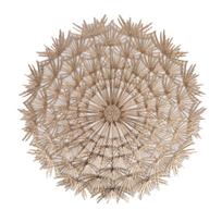 Stalo padėkliukas „DANDELION“, 38 cm, auksinis