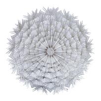 Stalo padėkliukas „DANDELION“, 38 cm, sidabrinis