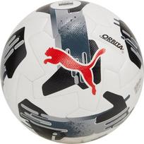 Puma futbolo kamuolys Puma Orbita 1 TB FIFA Quality Pro white-grey 84322 02 5 | 4067981509058 | 4067981509058