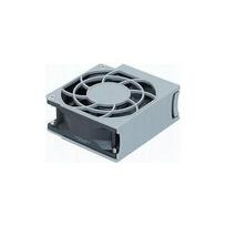 Ventiliatorius Synology Synology FAN 80X80X32_7 kompiuterių aušinimo sistema Ventiliatorius 8 cm | FAN 80X80X32_7 | 4711174728411