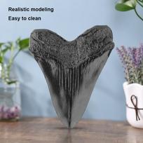 Juodo ryklio danties fosilija 5 colių milžiniškas megalodono dantis Lengvai valoma derva Ryklio dantys Jūrų biologijos mokymo priemonės Vaikams Vaikams Australia