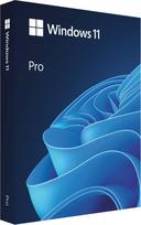 Microsoft Windows 11 Professional BOX USB PL