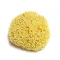 Honeycomb Sea Sponge Natūrali jūros kempinė ~13 cm