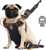 Zolux Travel Safe S red - dog harness