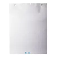 Bloknotas konferencijų stovams College, 600x850mm, 50 lapų, linija