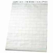 Bloknotas konferencijų stovui 65x100cm 50 lapų langeliais Esselte