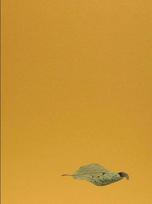 Yoshihiro Suda. Garden Eden: Ausst. Kat. Staatliche Graphische Sammlung München