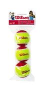 WILSON STARTER RED BALLS Teniso kamuoliukai, 3 vnt