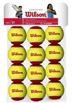 WILSON STARTER RED BALLS Teniso kamuoliukai, 12 vnt