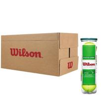 WILSON STARTER PLAY GREEN Teniso kamuoliukai, 72 vnt